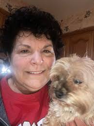 Lost Puppy in St. Clair Shores, Michigan