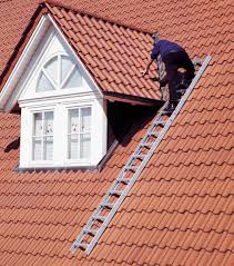 Gtardo De Dachauflegeleiter Premium Ral 8014 Alu 14 Sprossen Braun Premium Line 190 91 Https Gtardo De Dachauflege Dach Dachleiter Haus Renovierung Ideen