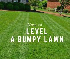We did not find results for: How To Level A Bumpy Lawn Lush Lawn Lawn And Landscape Lawn