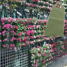 A.m.a.'s al's flower pouch is the original vertical garden in a bag that's been adding a splash of colour to walls, posts, trees and fences worldwide since 1992. Hanging Bag Flowers Imt Mines Albi