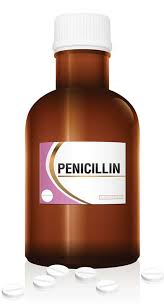 Image result for Penicillin