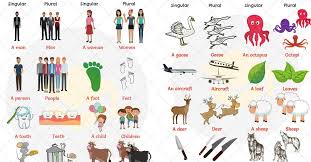 Irregular Plural Nouns Useful Rules List Examples 7 E S L