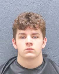 Crime briefs: Police say Walhalla man pointed gun at store