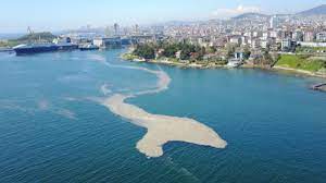 Deniz salyası (müsilaj) nedir ve neden oluşur? Kivbwvbvrzsrcm