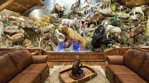 Check spelling or type a new query. Trophy Rooms Brush Country