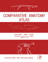 Comparative Anatomy Atlas Sciencedirect