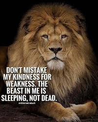 Anyone have any ideas about doing a fresh install of lion if wanted/needed? Pin By Katrina Plummer On Ideaspot Lion Quotes Warrior Quotes Life Quotes