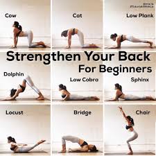 Pin On Back Pain Exercises