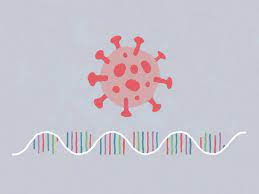 The best gifs are on giphy. How Close Are We To A Covid 19 Vaccine Fivethirtyeight