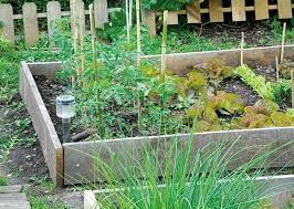 comment creer une bordure en planches au potager bordure jardin bordure jardin bois jardin potager