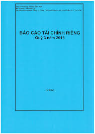 Cty CP Chứng Khoán Bản Việt - Mã số thuế : 0305299779