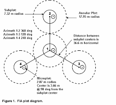 Image result for Scorodophloeus fischeri