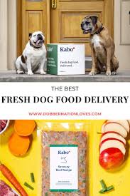 Dogs are carnivorous by nature so ingesting natural, unprocessed meats provides your dog with many. Fresh Dog Food Bring Your Dog More Joy With Kabo Dobbernationloves