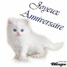 We did not find results for: Les 500 Meilleures Chat Joyeux Anniversaire Gif 265339