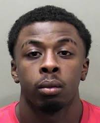 Photos: 2018-19 McLean County jail mugshots