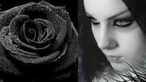 Foto bunga mawar hitam wallpaper valentinsiana prahara mawar hitam oleh asep sumpena kompasiana com langka mawar hitam terny mawar hitam bunga gambar mawar Lukisan Mawar Hitam Kompasiana Com