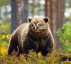 Artist Creates The Stupidest Animal Hybrids He Can Think Of 26 New Pics In 2020 Weird Animals Animals Stupid Animals