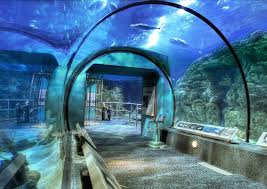 And address is 410 bagby street it is situated in houston, texas, united states. That Aquarium Place Houston