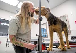 About 4,000 dogs head to work at Amazon headquarters daily