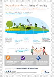 Contaminants Dans La Chaine Alimentaire Health Facts Infographic Health Screening