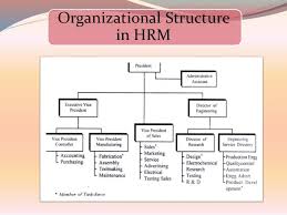 Influence Of Organisation Structure On Hrm Coursework Sample