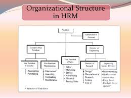 influence of organisation structure on hrm coursework sample