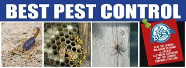 Enjoy this and more complete with great mo microbrews and mo wines and tantalizing foods as u browse through all mo artisans and crafters. Best Pest Control Linkedin