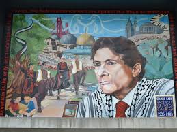 Image result for Edward Said CARTOON