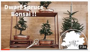 After being a fan of his for many years, i finally met him for the first time last fall and loved his nursery. Corin Tomlinson S Youtube Channel Valavanis Bonsai Blog