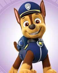 Chase Paw Patrol Relation Ship Wiki Fandom Paw Patrol Pups Chase Paw Patrol Paw Patrol Characters