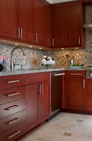 modern kitchen cabinet colors houzz