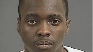 Charleston deputies track man accused of trailer theft