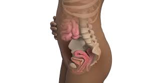 8 Semanas De Gravidez Babycenter