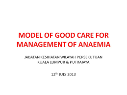 Sebut harga bagi perkhidmatan membekal dan menghantar bekalan toner/ribbon bagi pencetak kad oku di jabatan kebajikan masyarakat. Model Of Good Care For Management Of Anaemia Ppt Video Online Download