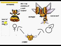 Combees New Evolution