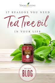 Pin On Essential Oils