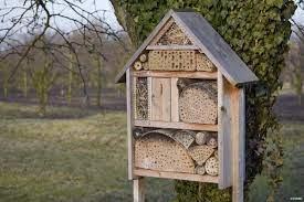 Hier kann ein kleines dach sinnvoll sein; Der Ideale Standort Furs Insektenhotel Garten Und Freizeit