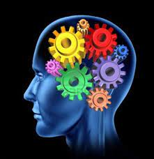The Science Of Smart: Eight Ways Of Looking At Intelligence | Nova | Pbs