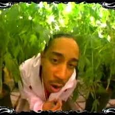 Stream Ludacris
