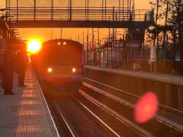 Image result for Brown 1980 Evans Coach Lines