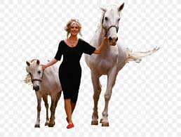Actress, model, writer and singer. Mustang Pony Stallion Png 660x622px Mustang Animal Blog Breed Brigitte Bardot Download Free