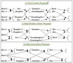 Breeding Charts Chicken Breeds Chart Chicken Breeds Game