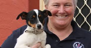 Pet safety paramount when temps spike