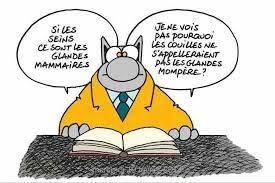 Resultat De Recherche D Images Pour Le Chat De Philippe Geluck Et Le Desordre Le Chat Geluck Humour Dessin Humour