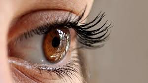 Das wimpernwachstum kann durch verschiedene tricks gefördert und beschleunigt werden, wie z.b. Wachsen Wimpern Nach So Wachsen Sie Schneller Schlafzimmer De