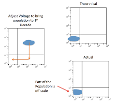 How To Set And Monitor Optimal Voltages For A Flow Cytometry