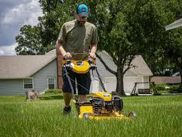 Best value gas lawn mower: Best Self Propelled Lawn Mower Reviews 2021 Pro Tool Reviews