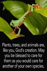 Creation proclaims the glory of god. Amen Click Pics To Print Bible Verse Daily Blessings Affirmations Prayers And Inspirational Quotes In 2021 Blessed Quotes Blessed Inspirational Quotes