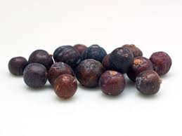 Wacholderbeeren werden in ganz europa, asien, nordamerika, nordafrika und italien angebaut. Wacholder Infos Rezepte Essen Und Trinken