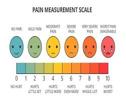 Pin On Medical Student Study
